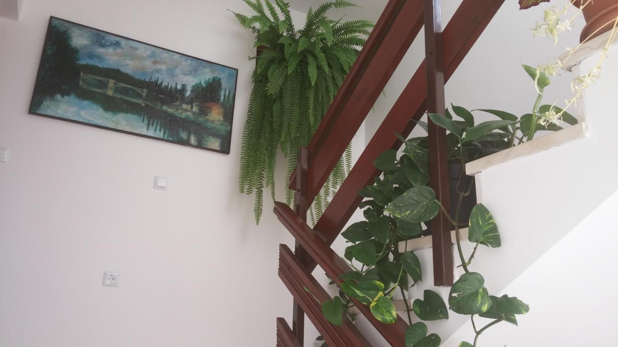 Apartments Roncevic Zadar Room photo